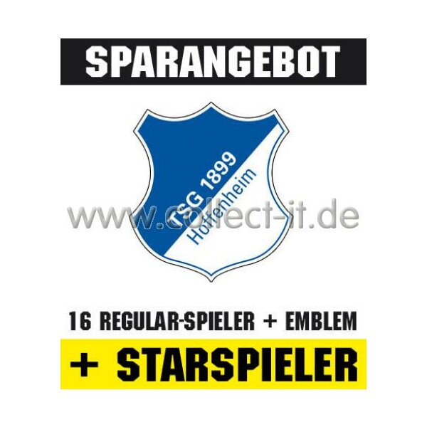 Mannschafts-Paket mit beiden Star-Spielern - 1899 Hoffenheim - Saison 2010/11