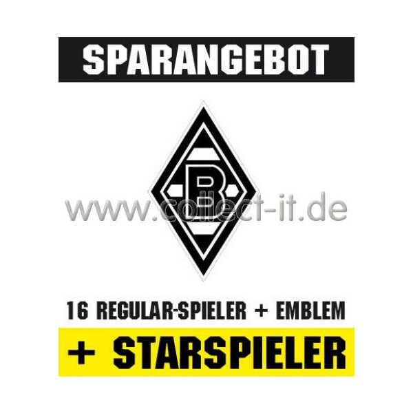 Mannschafts-Paket mit beiden Star-Spielern - Borussia Mönchengladbach - Saison 2010/11