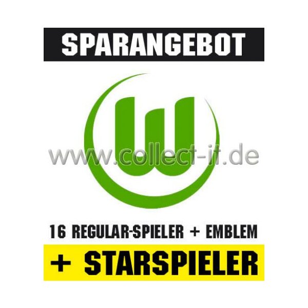 Mannschafts-Paket mit beiden Star-Spielern - VfL Wolfsburg - Saison 2010/11