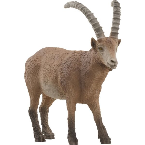 Steinbock