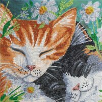 Crystal Art Leinwandbild Katzen