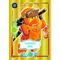 LEGO Ninjago Serie 9 Trading Cards -  Alle 4 Platin Karten