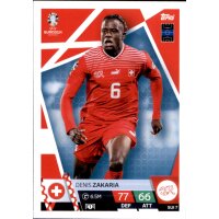 SUI 7 - Denis Zakaria - 2024