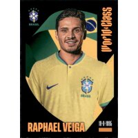 46 - Raphael Veiga - 2024