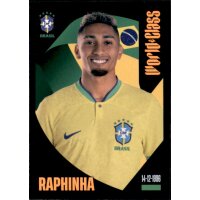 51 - Raphinha - 2024