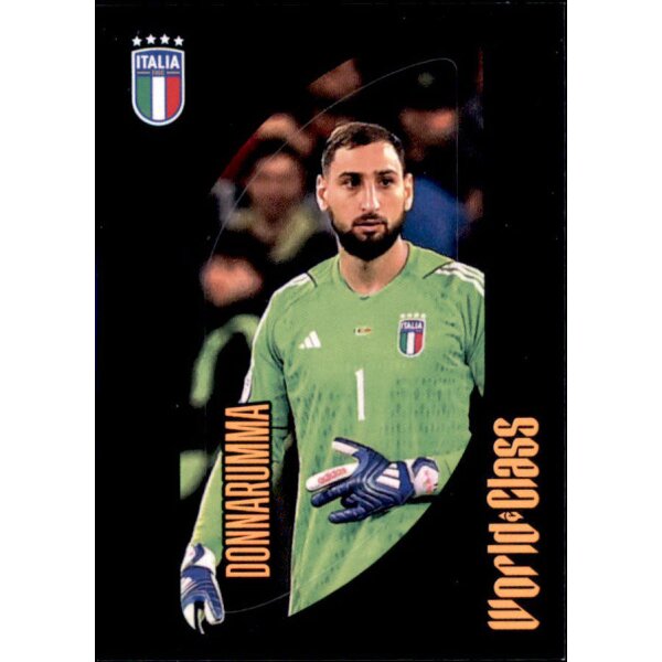 141 - Gianluigi Donnarumma - 2024