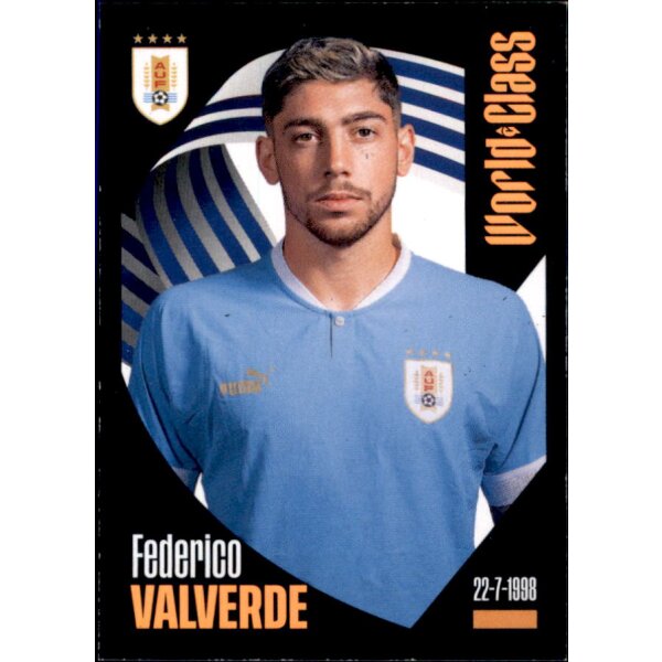 241 - Federico Valverde - 2024