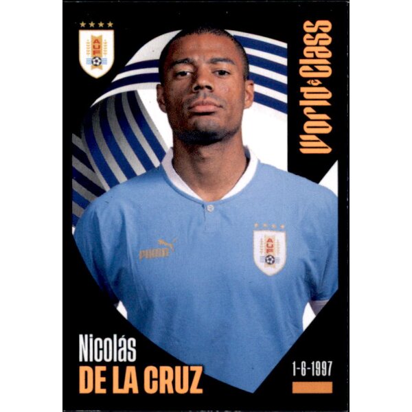 243 - Nicolas de la Cruz - 2024