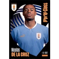 243 - Nicolas de la Cruz - 2024