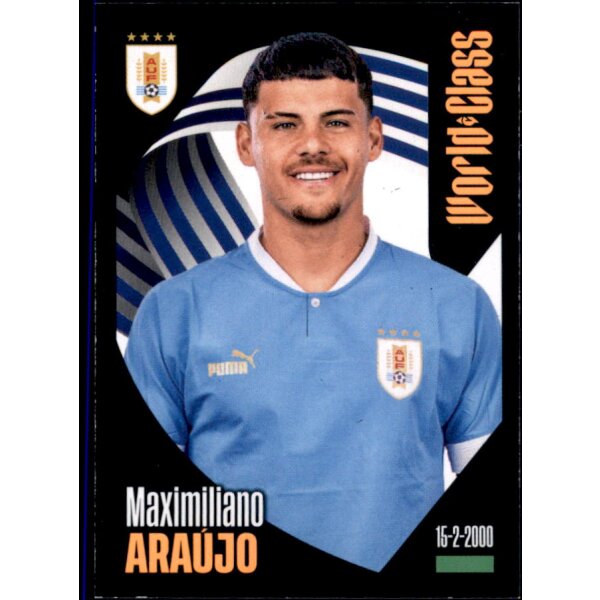 246 - Maximiliano Araujo - 2024