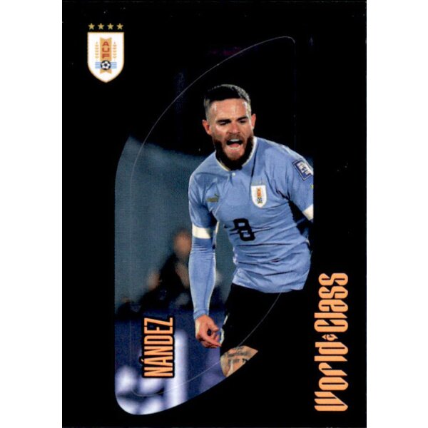 259 - Nahitan Nandez - 2024