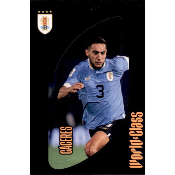 260 - Sebastian Caceres - 2024