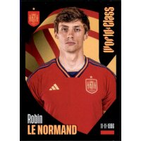 311 - Robin le Normand - 2024