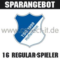 Mannschafts-Paket - 1899 Hoffenheim - Saison 2012/13 -...