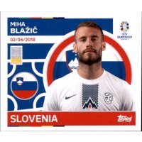 SVN 6 - Miha Blazic - 2024