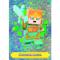 16 - Königlicher Krieger - Skin Karte - Pixel - Serie 1