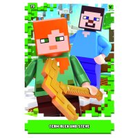 73 - Team Alex und Steve - Skin Karte - Serie 1