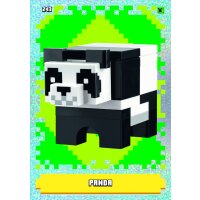 243 - Panda - Tierkarte - Holo - Serie 1