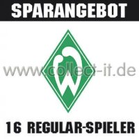 Mannschafts-Paket - SV Werder Bremen - Saison 2013/14