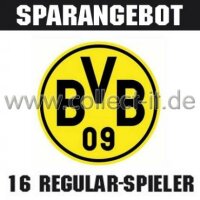 Mannschafts-Paket - Borussia Dortmund - Saison 2013/14