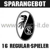 Mannschafts-Paket - SC Freiburg - Saison 2013/14