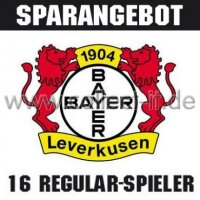 Mannschafts-Paket - Bayer 04 Leverkusen - Saison 2013/14