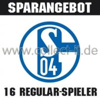 Mannschafts-Paket - FC Schalke 04 - Saison 2013/14