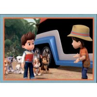 Sticker 43 - PAW Patrol 2024 Jungle Pups