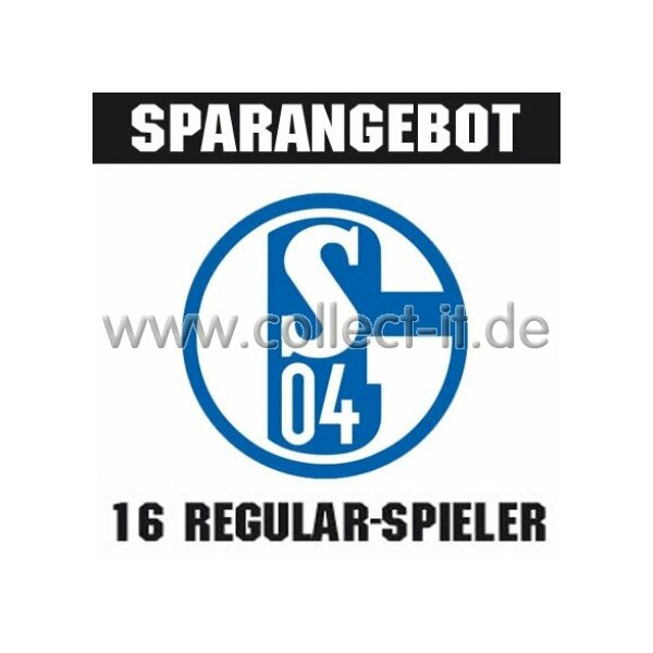 Mannschafts-Paket - FC Schalke 04 - Saison 2014/15 - Saison 14/15