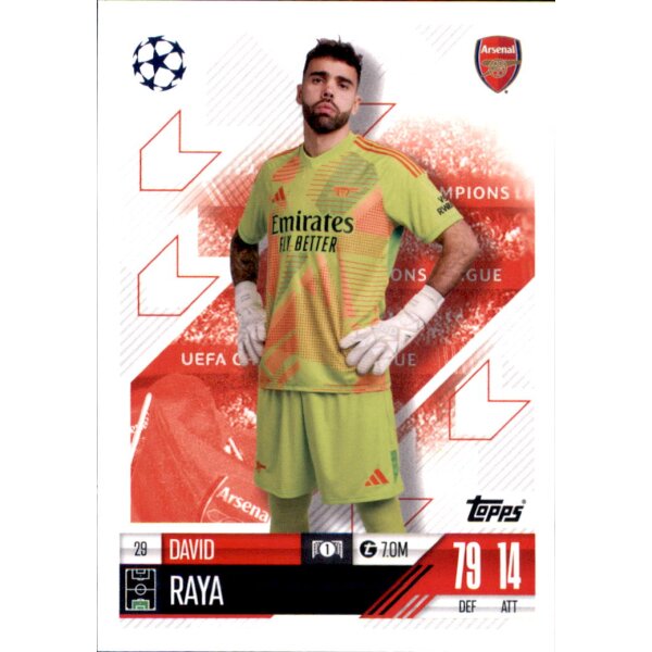 29 - David Raya - 2024/2025