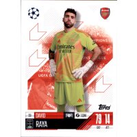 29 - David Raya - 2024/2025