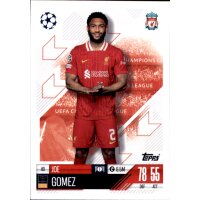 49 - Joe Gomez - 2024/2025