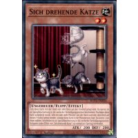 ROTA-DE026 - Sich drehende Katze - 1. Auflage