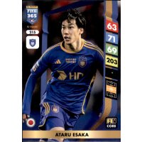 215 - Ataru Esaka - Team Mate - 2025