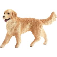 Golden Retriever Hündin