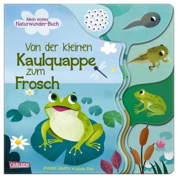 Von Kaulquappe zu Frosch