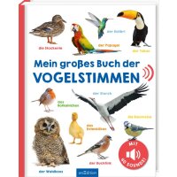 Mein großes Buch Vogelstimmen