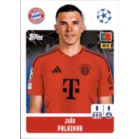 177 - Joao Palhinha - FC Bayern München