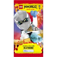 LEGO Ninjago Serie 10 Trading Cards - 1 Multipack (zufällige Auswahl)