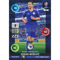 PAD-RTF-042 - Vedad Ibisevic - Base Karte