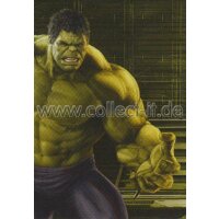 Marvel Heroes Trading Card Nr.49 - Hulk