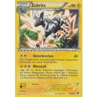 48/99 - Zebritz