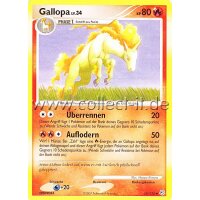 59/130 - Gallopa