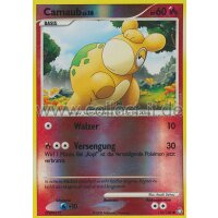 110/146 - Camaub - Reverse Holo