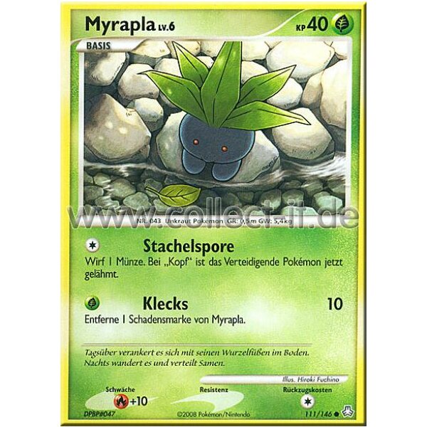 111/146 - Myrapla