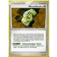 139/146 - Wurzelfossil