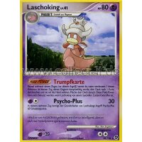 28/106 - Laschoking