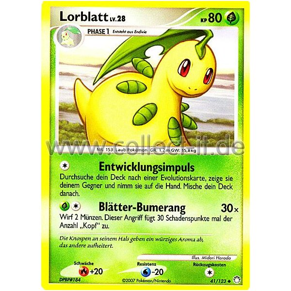 41/123 - Lorblatt