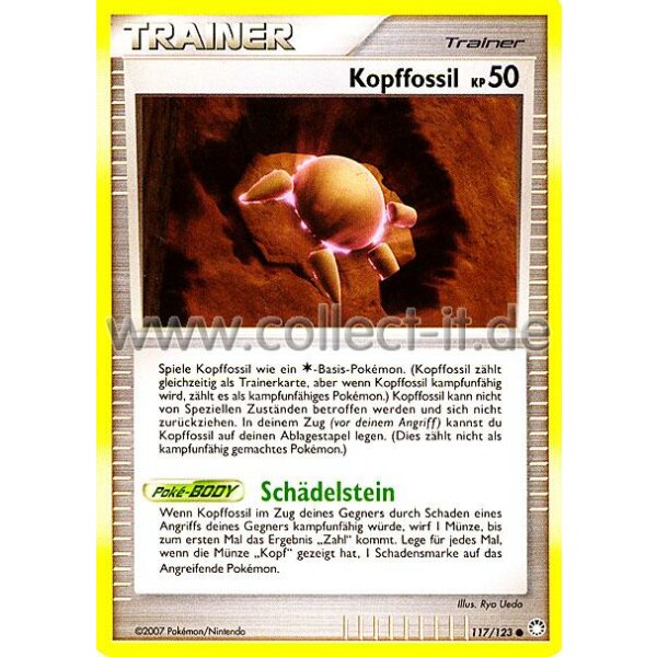 117/123 - Kopffossil