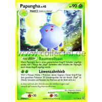 11/132 - Papungha - Holo